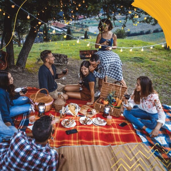 Picnic in the park